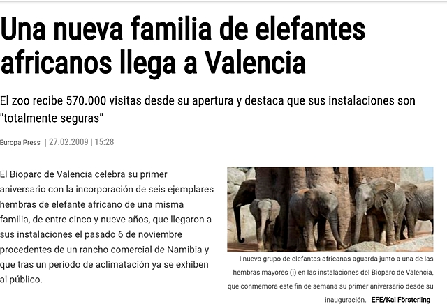 Elefants africans a València