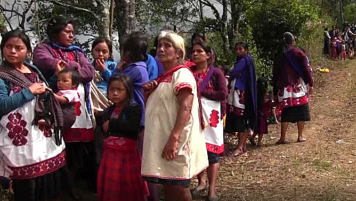 Declaración de autonomía