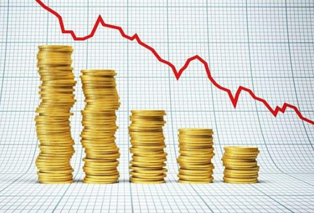 Lineamientos del Programa de Emergencia Económica