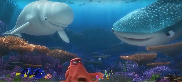 Ritornano tutti sulla barriera corallina