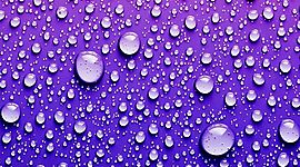 Timeline: Дни недели