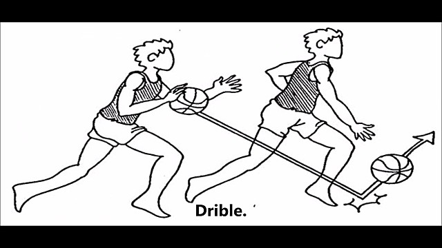 Drible