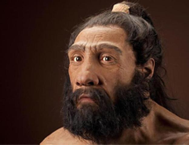 HOMO NEANDERTHALENSIS