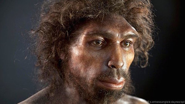 HOMO RHODESIENSIS