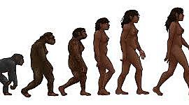 Timeline: EVOLUCIÓN DE LA ESPECIE HUMANA
