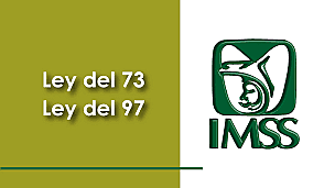 Ley del Seguro Social