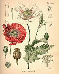 Evento 13. Química Farmacéutica