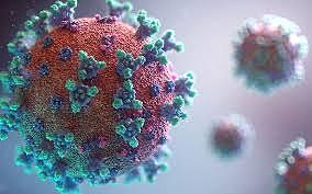 Coronavirus (Covid-19)