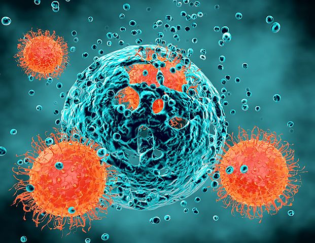 Oswald Avery, Mac Leod y McCarty