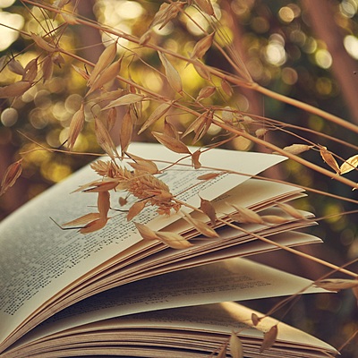 Timeline: Literatura y sus siglos.