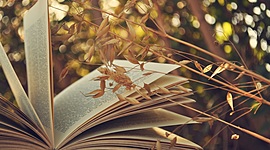 Timeline: Literatura y sus siglos.