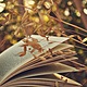 Book and spikelets 3840x2160