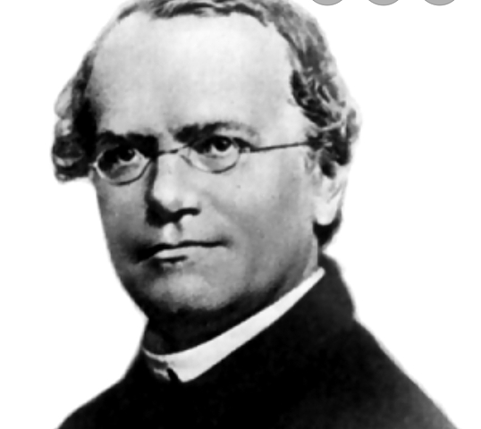 Mendel