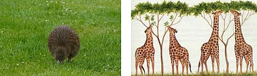 Primera ley de Lamarck