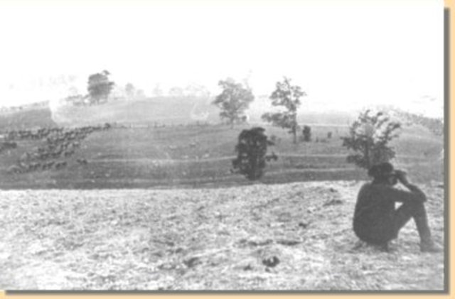 Sharpsburg (Antietam)