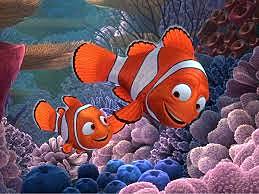 MARLIN E NEMO VANNO ALLA RICERCA DI DORY