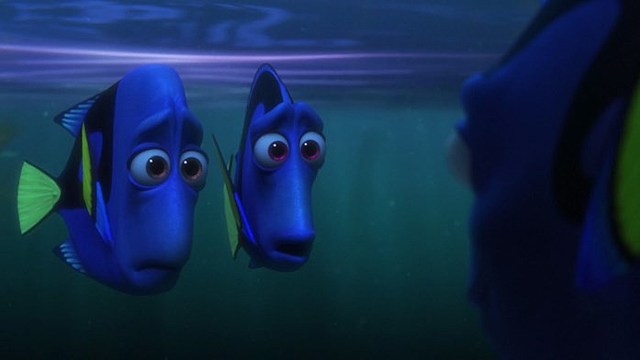 DORY SI RICORDA DOVE SONO I SUOI GENITORI