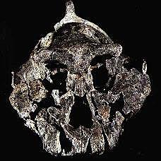 Paranthropus Aethiopicus  2,5 millones de años