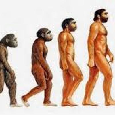 Timeline: Evolucion De La Especie Humana