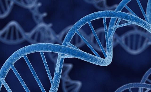 Primer experimento genético en Humanos