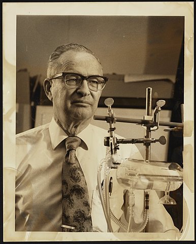 Wilbur Kaye
