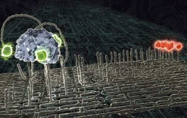 Molecular Robot Breakthrough