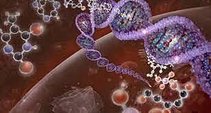 Descobrimento do primeiro genoma