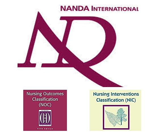 North American Diagnosis Association (NANDA)