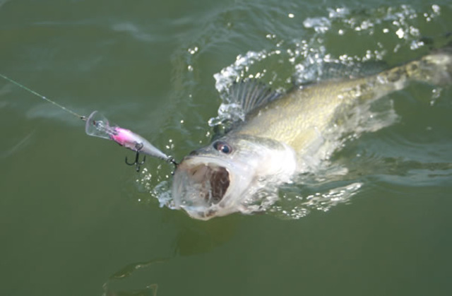 First day of fishing