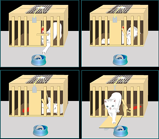 Thorndike’s Puzzle Boxes