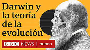 Origen de las especies por selección natural