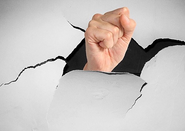 Autonomía constitucional a órganos garantes