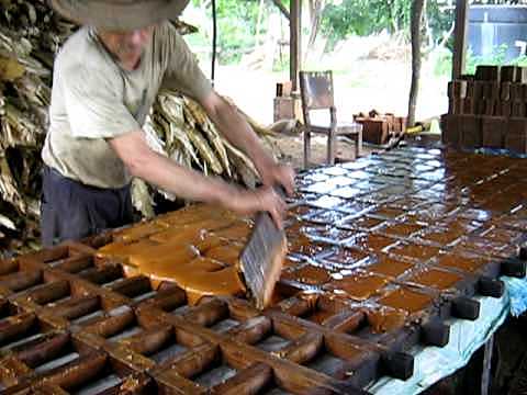 La comunidad que inspiró RAICES