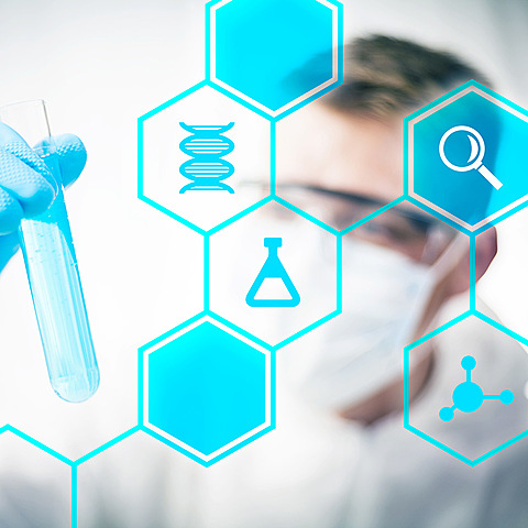 Postgraduate studies