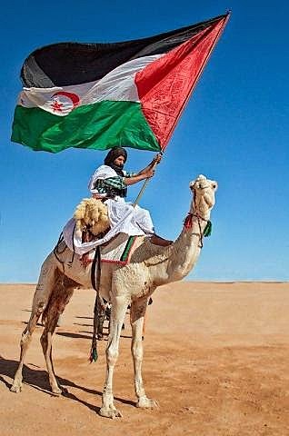 Nacimiento del Frente Polisario