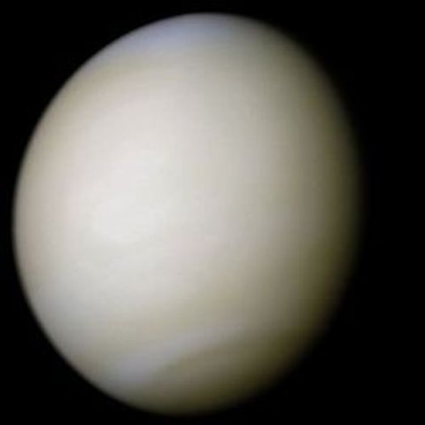 venus 3