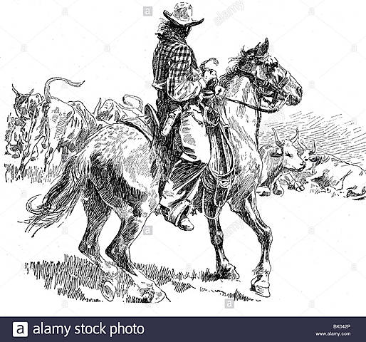 Drovers or Cowboys