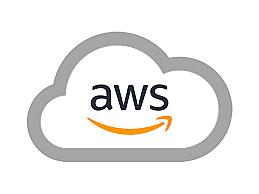 Amazon Cloud Services Launch