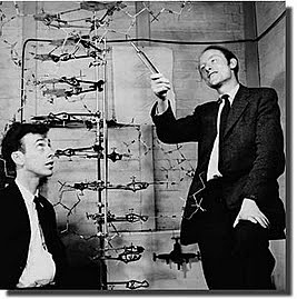 James Watson y Francis Crick.