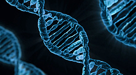 Timeline: Timeline Genética.