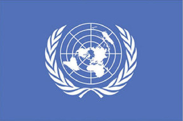 LA ORGANIZACIÓN DE LAS NACIONES  UNIDAS (ONU)