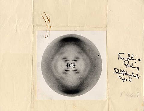 Rosalind franklin