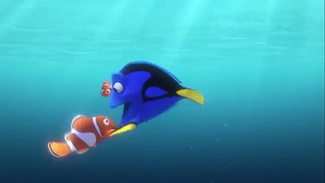 Dory adulta