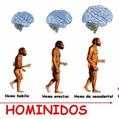 Timeline: Especies Homínidas Hecho por Joan Sebastian Sanchez Rojas 902