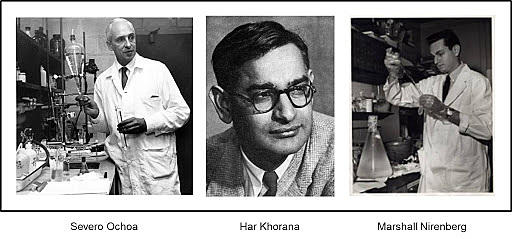 1961 - Severo Ochoa, Marshall Nirenberg y Hargobind Gobind Khorana