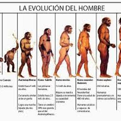 Timeline: evolucion de las especies