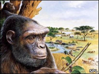 TOUMAI HACE 7.000.000 MILLONES DE AÑOS