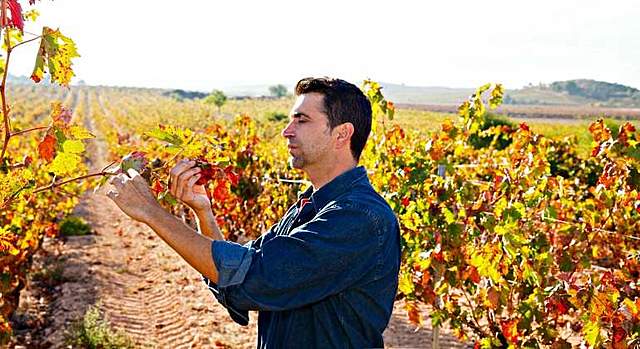 2012 - Proyecto Yeast 2.0