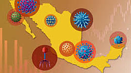 Timeline: EPIDEMIOLOGIA