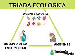"TRIADA ECOLOGICA" LUOS PASTEUR & ROBERT KOCH